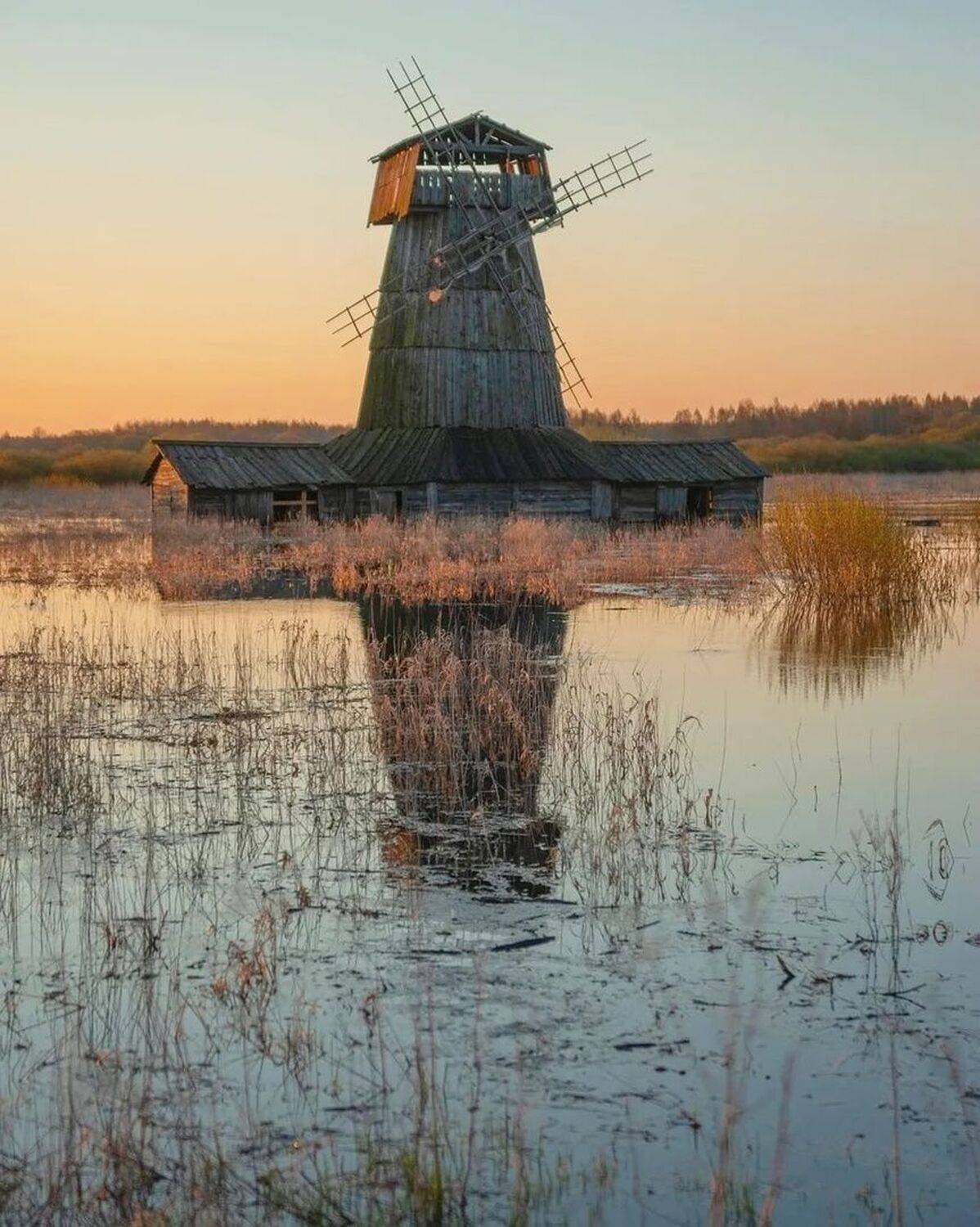 , Петр Косых