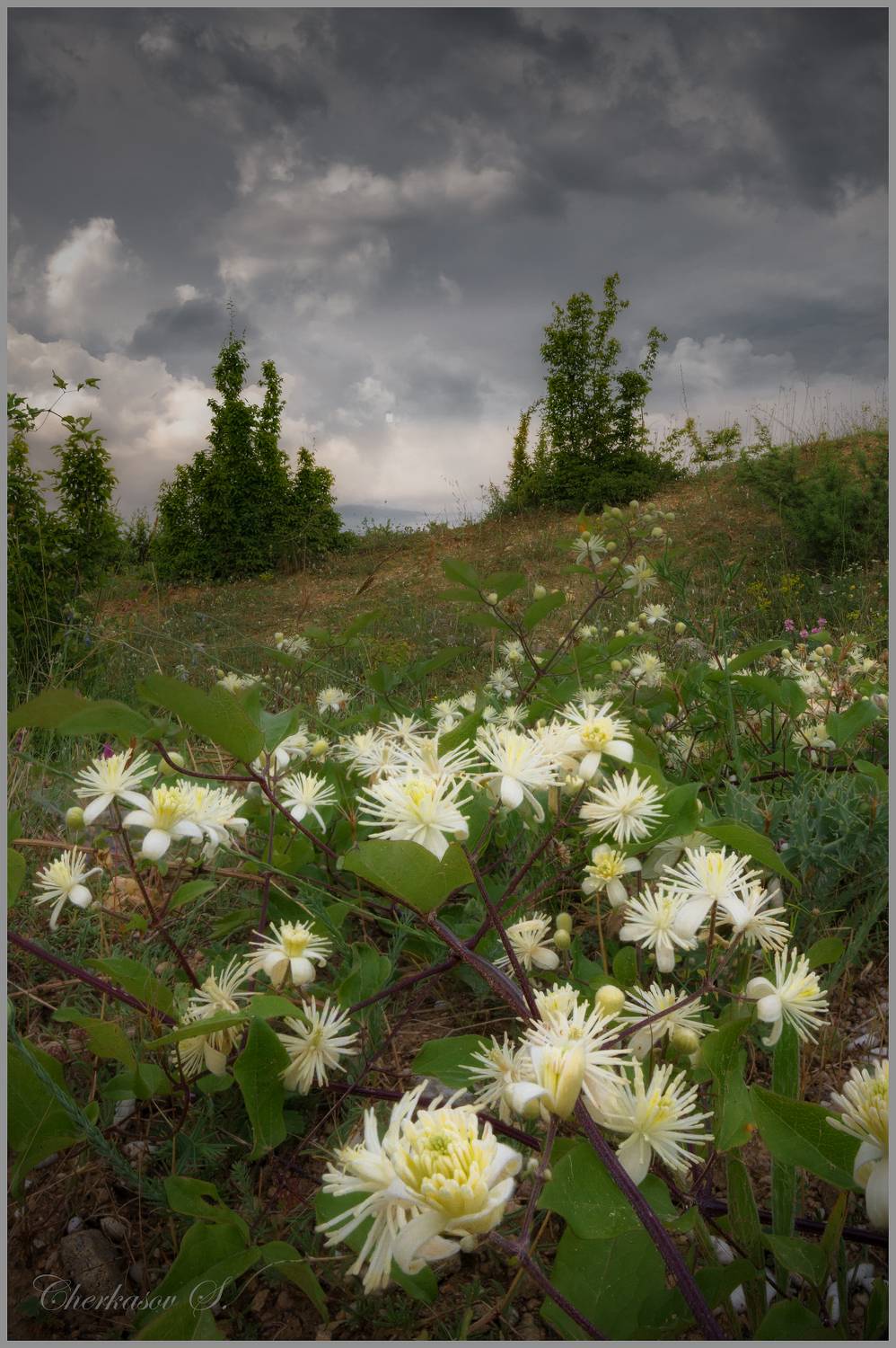 , Черкасов Сергей