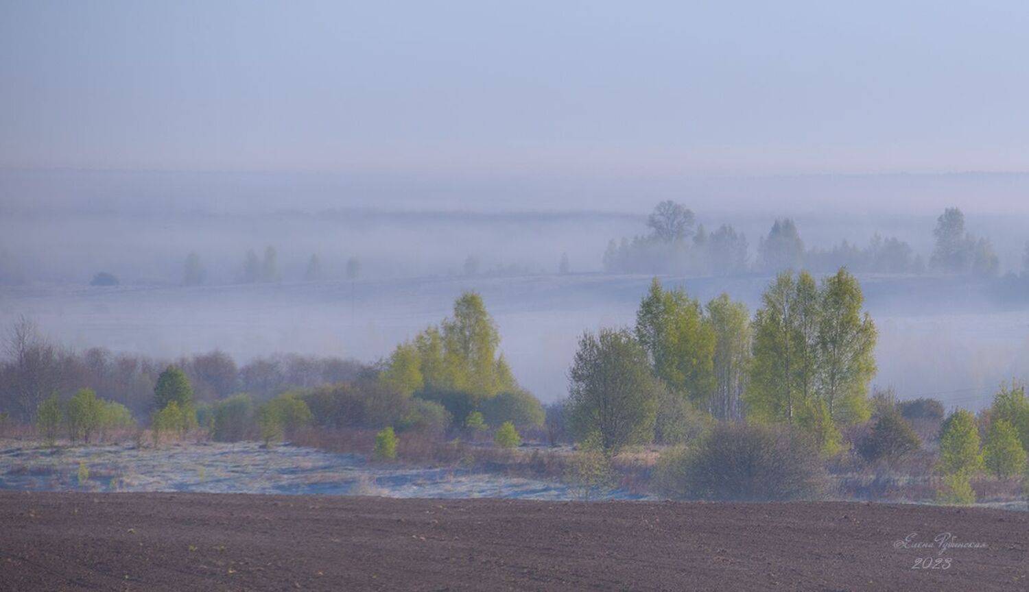 , Елена Рубинская
