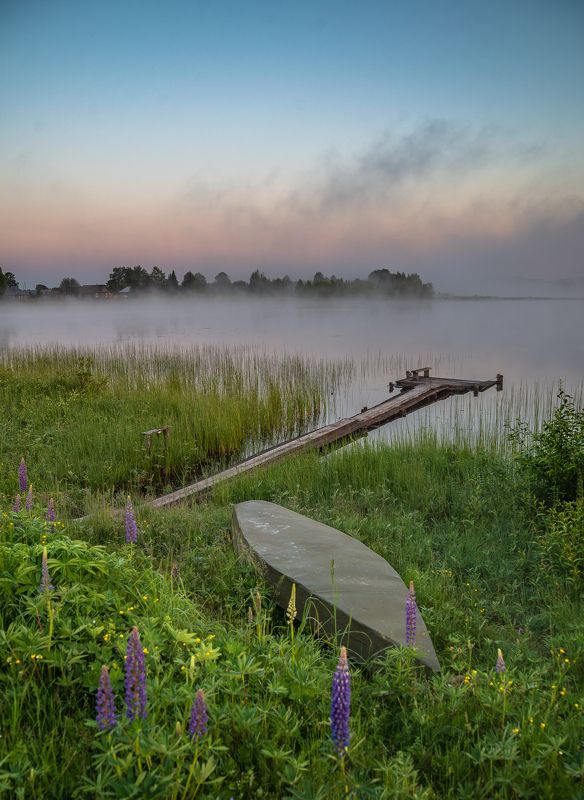 Прохлада летнего утра. фото превью
