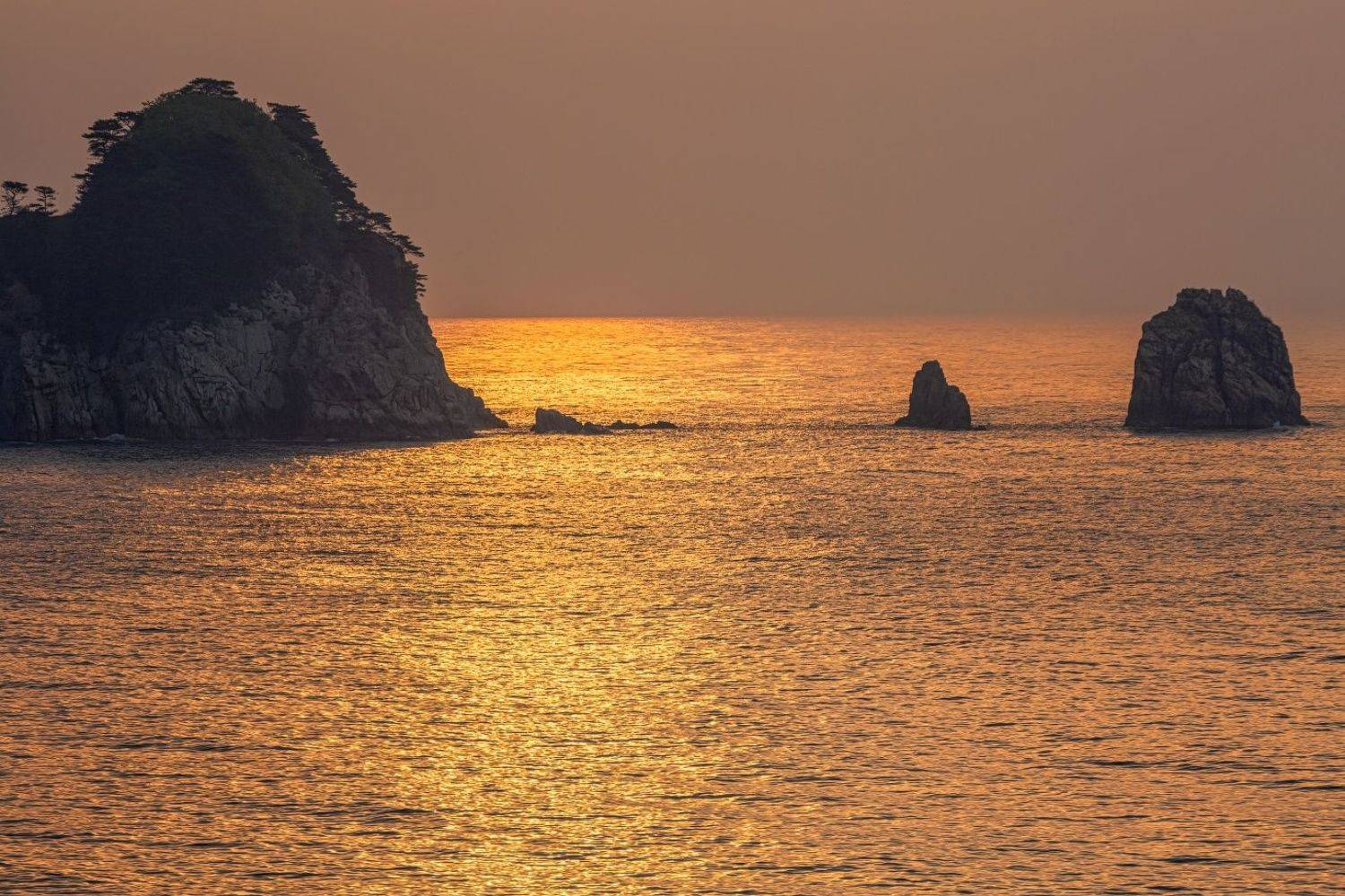 , Евгений Ерохин