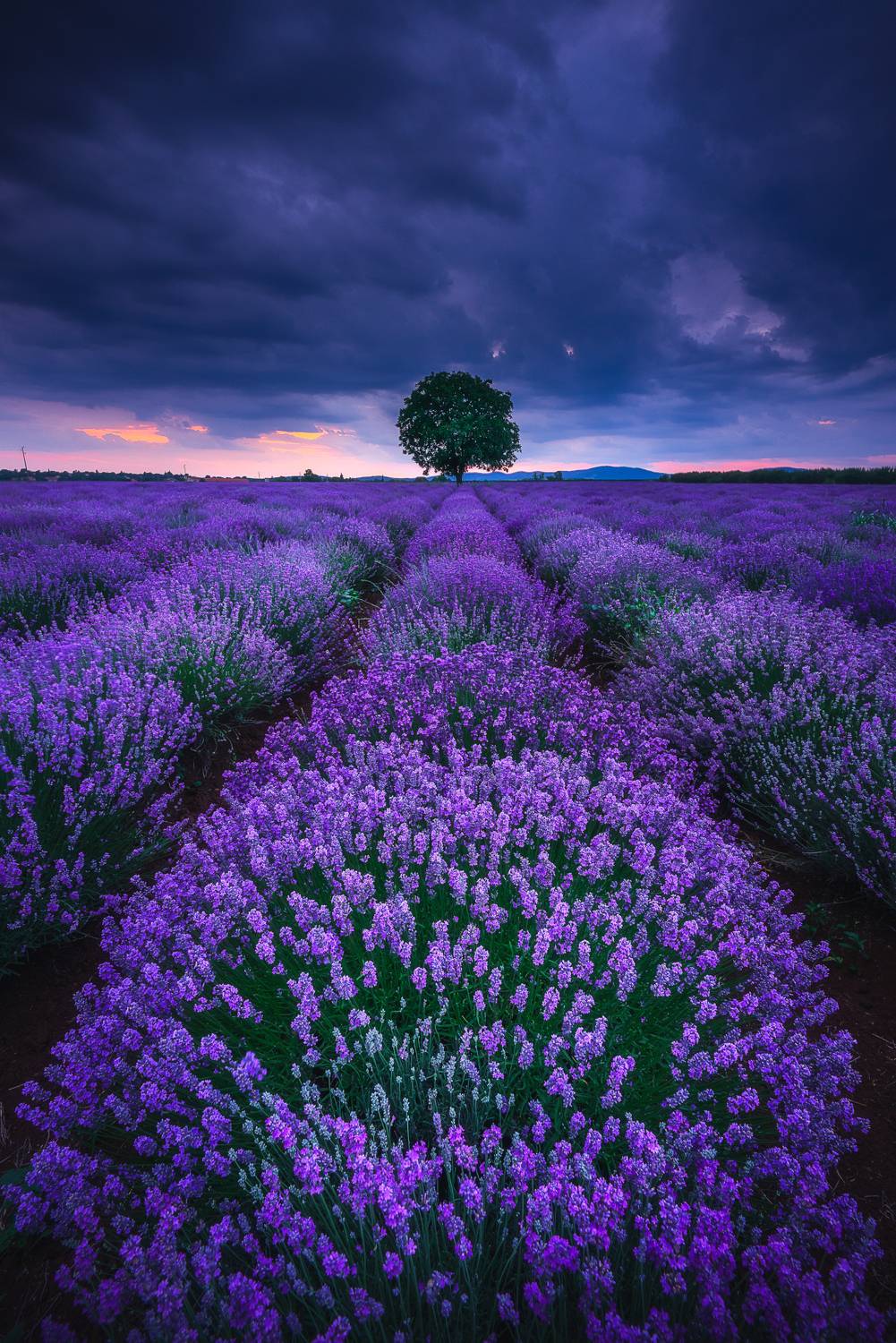 , Mariyana Atanasova - Lucero