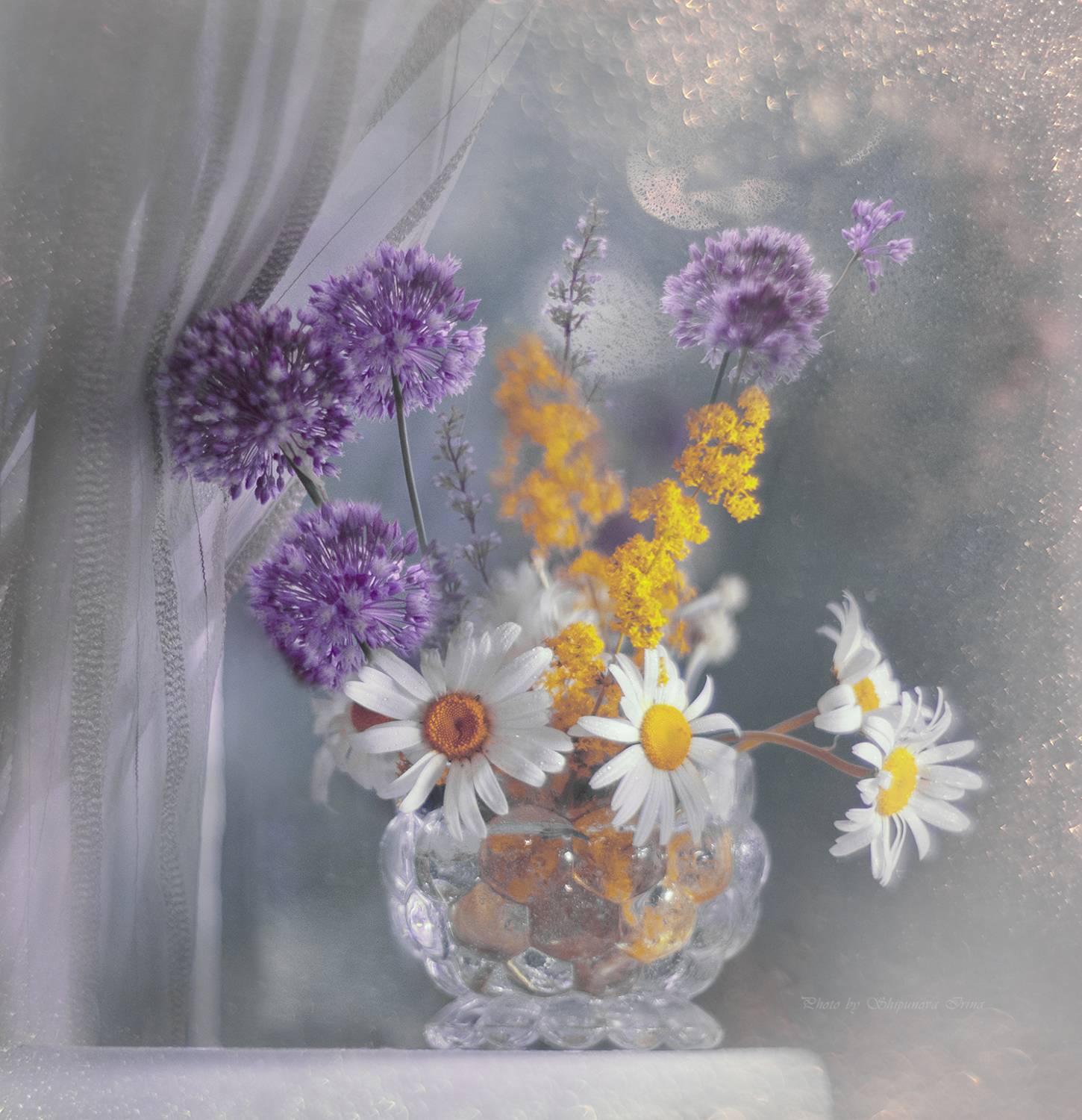 , Ирина Шипунова