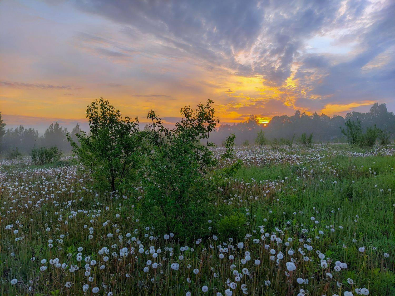 , Светлана Кондрашова