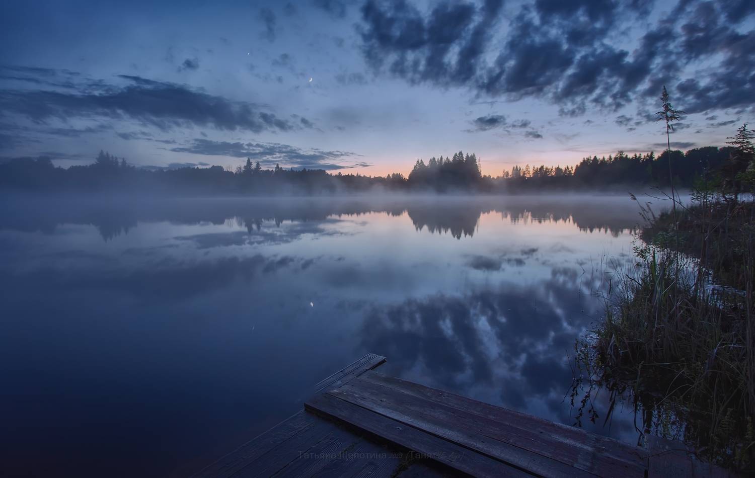 пейзаж, ленобласть, белые ночи, туман, landscape, nature, ленинградская область, Щепотина Татьяна