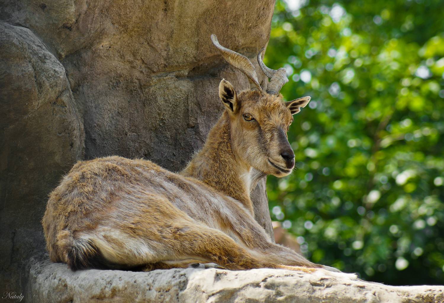 , Екимова Наталья