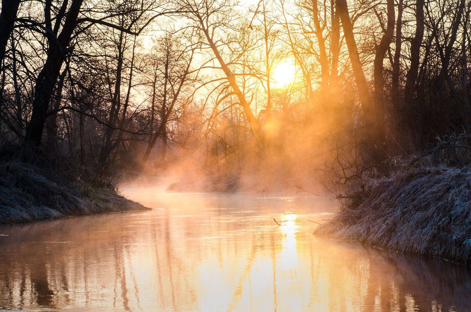 туман, река, Брянская область, Максим Ушаков