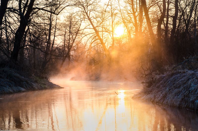туман, река, Брянская область Туман на реке фото превью