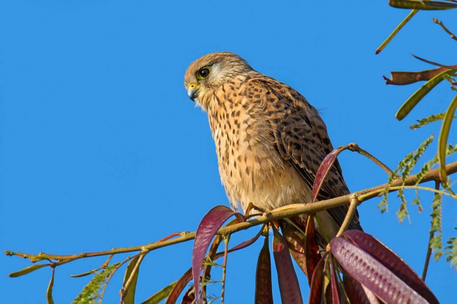 , Людмила Бекман