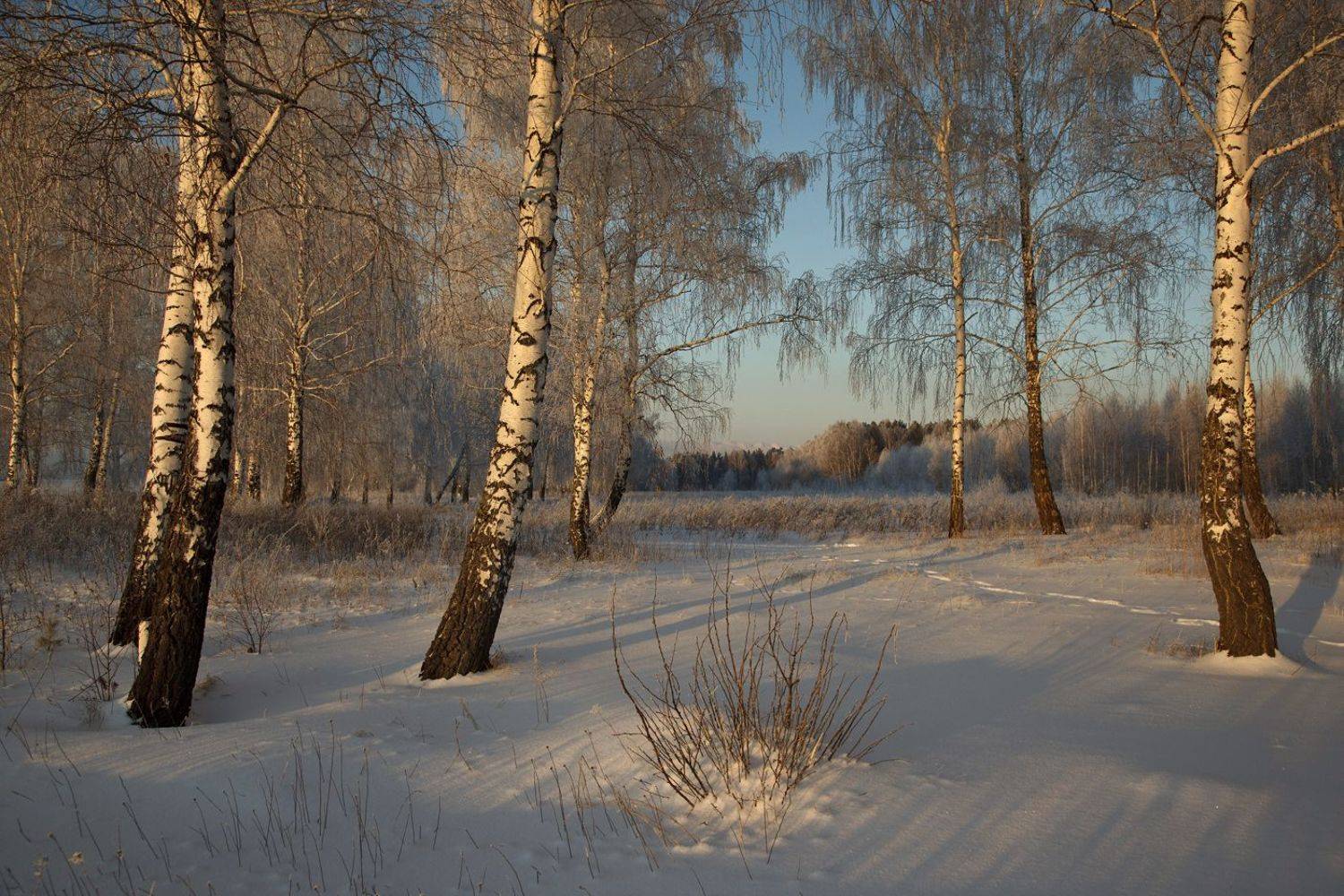 , Хахлов Алексей