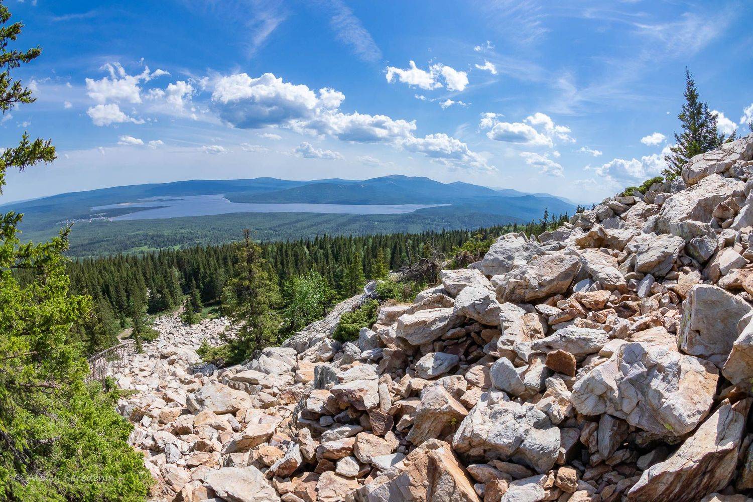 , Алексей Середенин