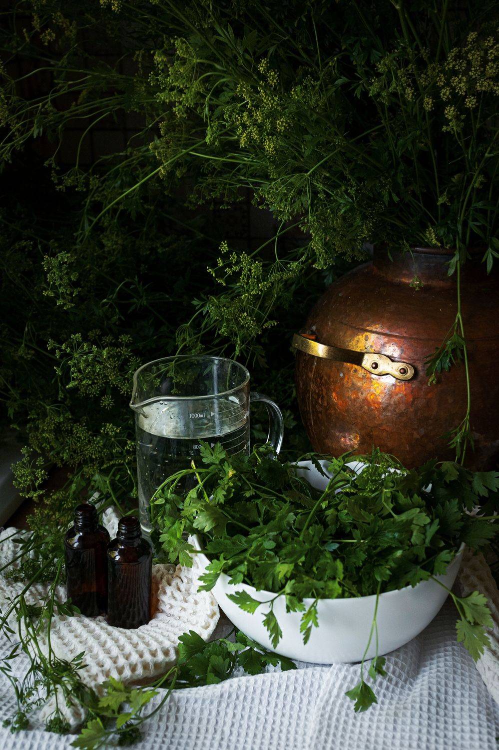 , Сергей Шульга