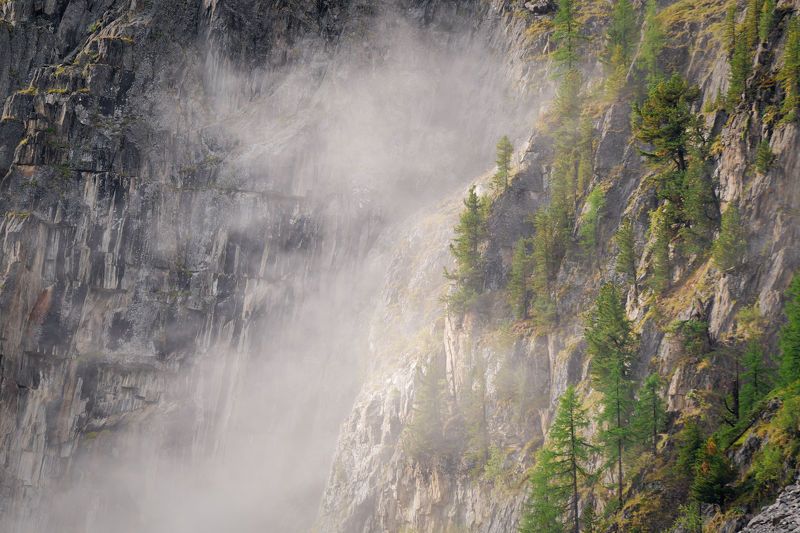 И на камнях растут деревья фото превью