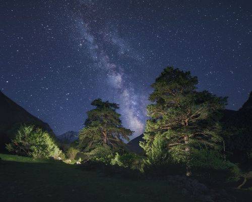 Млечный путь над кавказскими соснами
