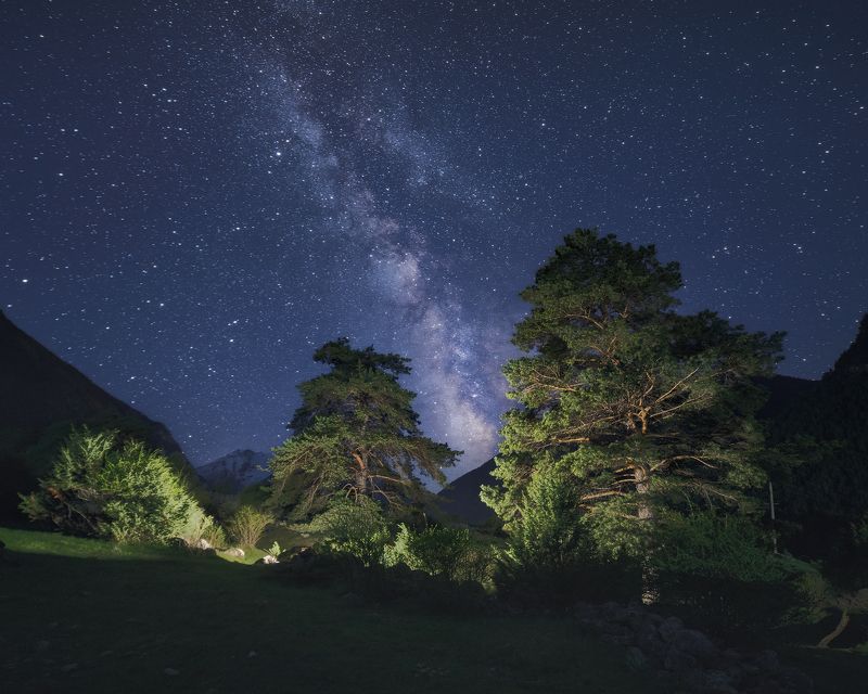 горы, звезды, сосны, пейзаж, кавказ, кчр, весна, mountains, hiking, landscape, млечный путь, milky way, pine, nightscape, ночь Млечный путь над кавказскими соснами фото превью