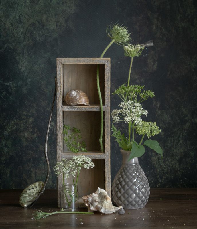 Гостья фото превью