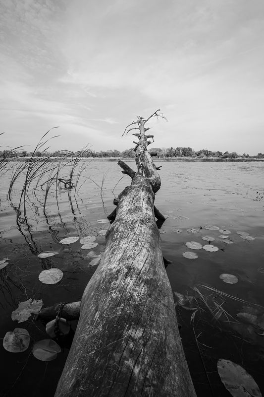 UntitledPattern#623 фото превью