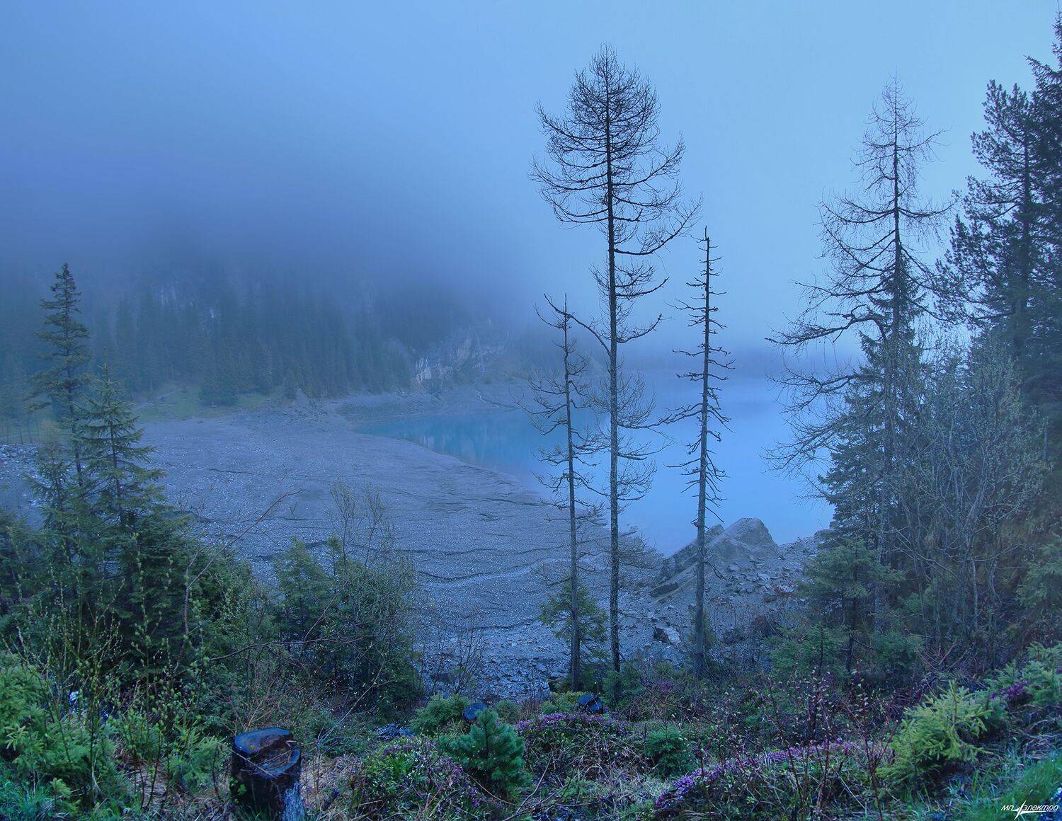 swiss,швейцария,весна,kandersteg,oeschinensee, Николай Матвеев