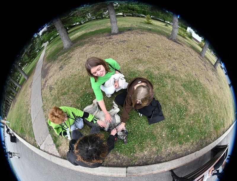 Как говорят, чтоб я так жил. фото превью