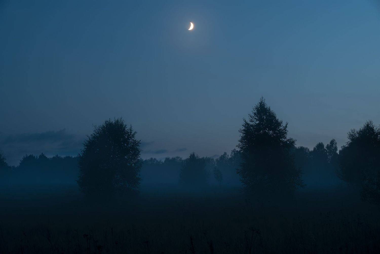 , Стрельцов Виталий