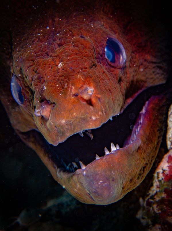 I’m actually smiling фото превью