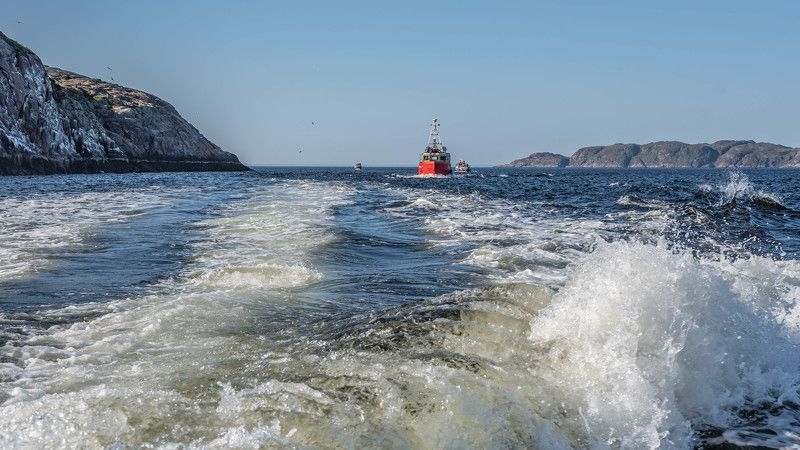 В гавань с моря заходили корабли фото превью