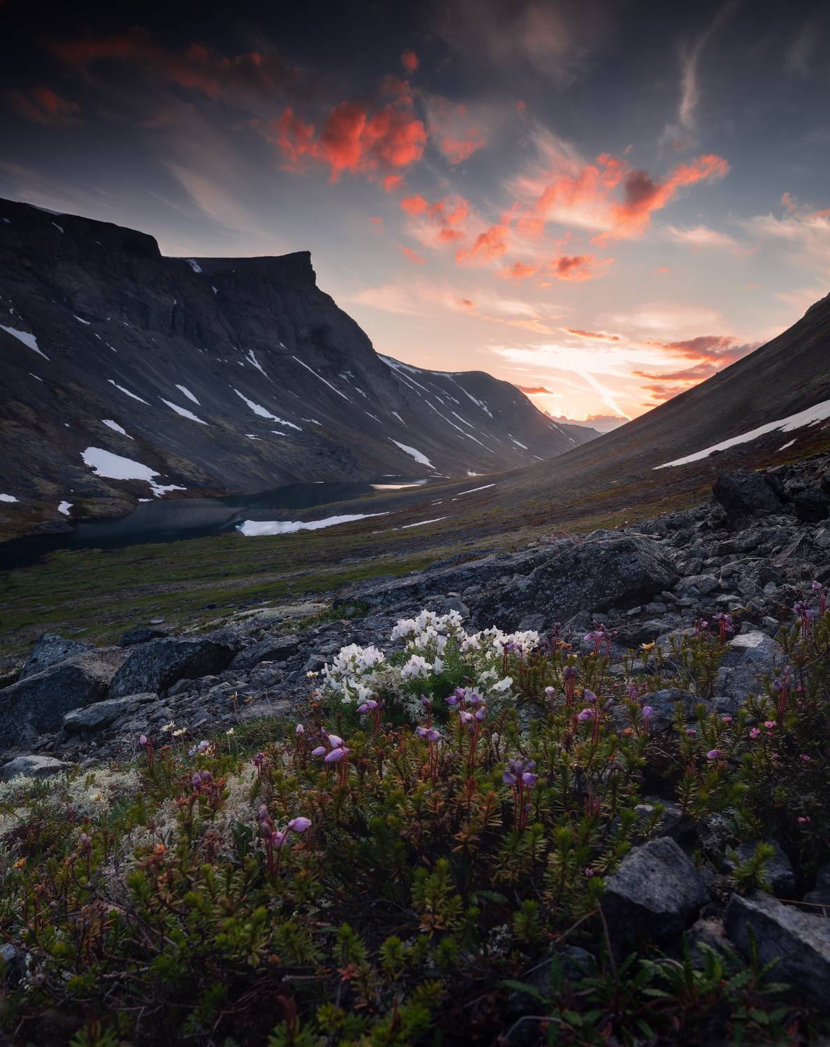 , Истомин Виталий