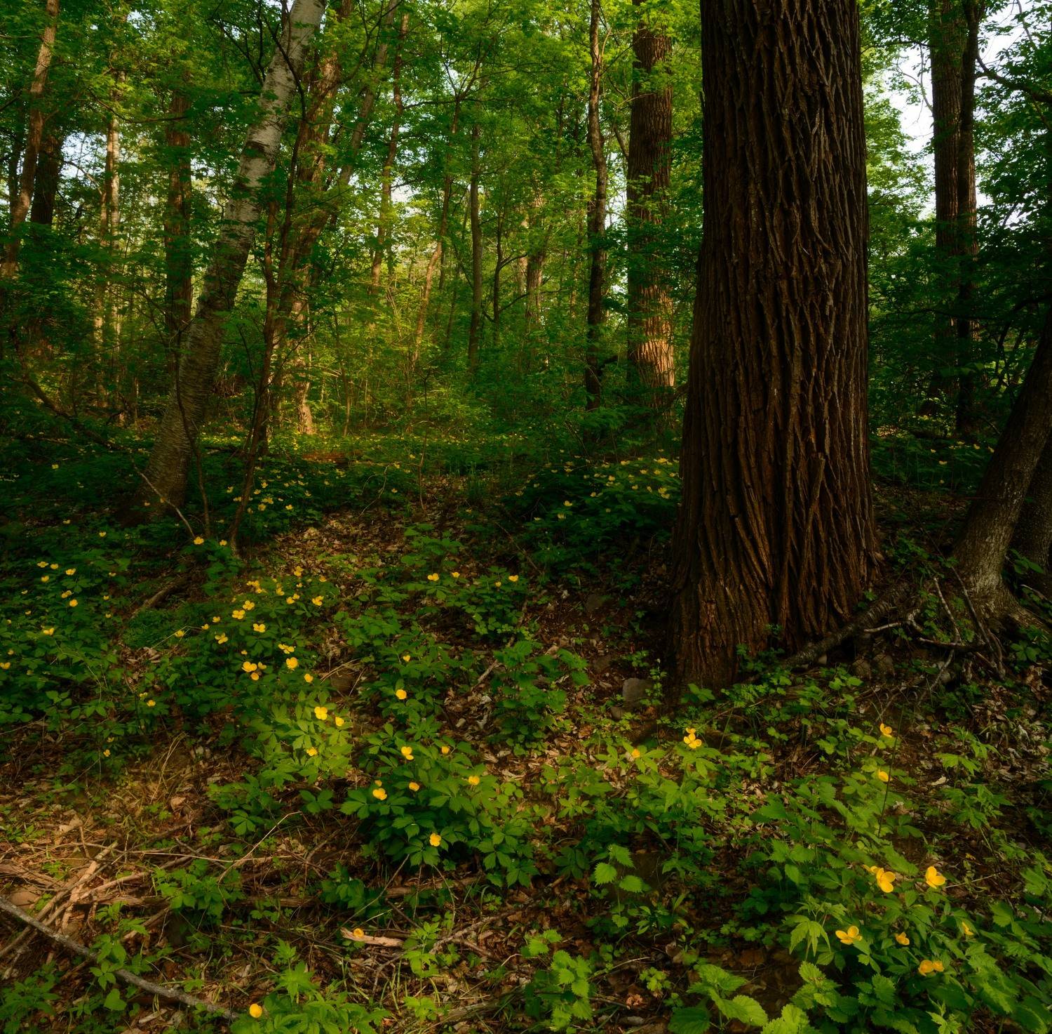 приморский край, Едуш Сергей
