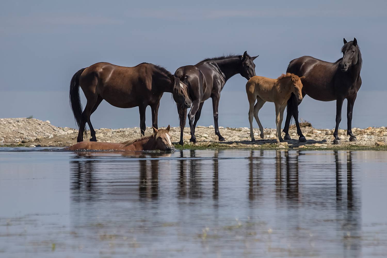 байкал, пролив малое море, курма, Koledova Irina