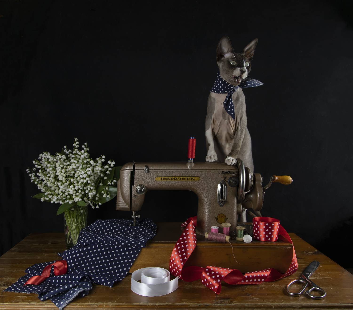 натюрморт,швейная машинка, швейная, сфинкс, кот, швей, Татьяна Феденкова