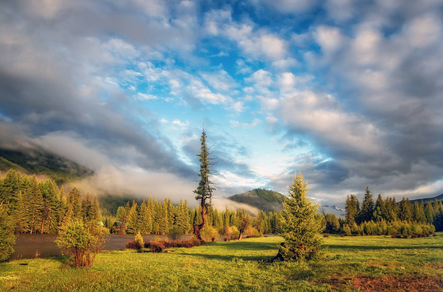 горный алтай,июнь2023,утро,река аргут, Lora Pavlova