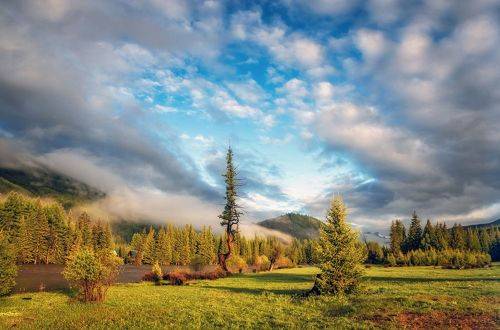 Июньское утро...