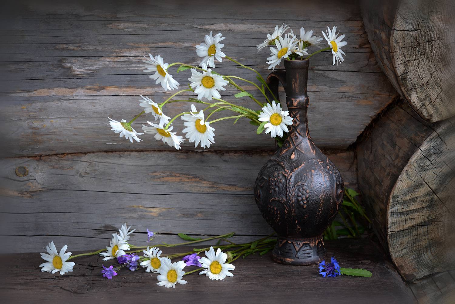 , Марина Никифорова