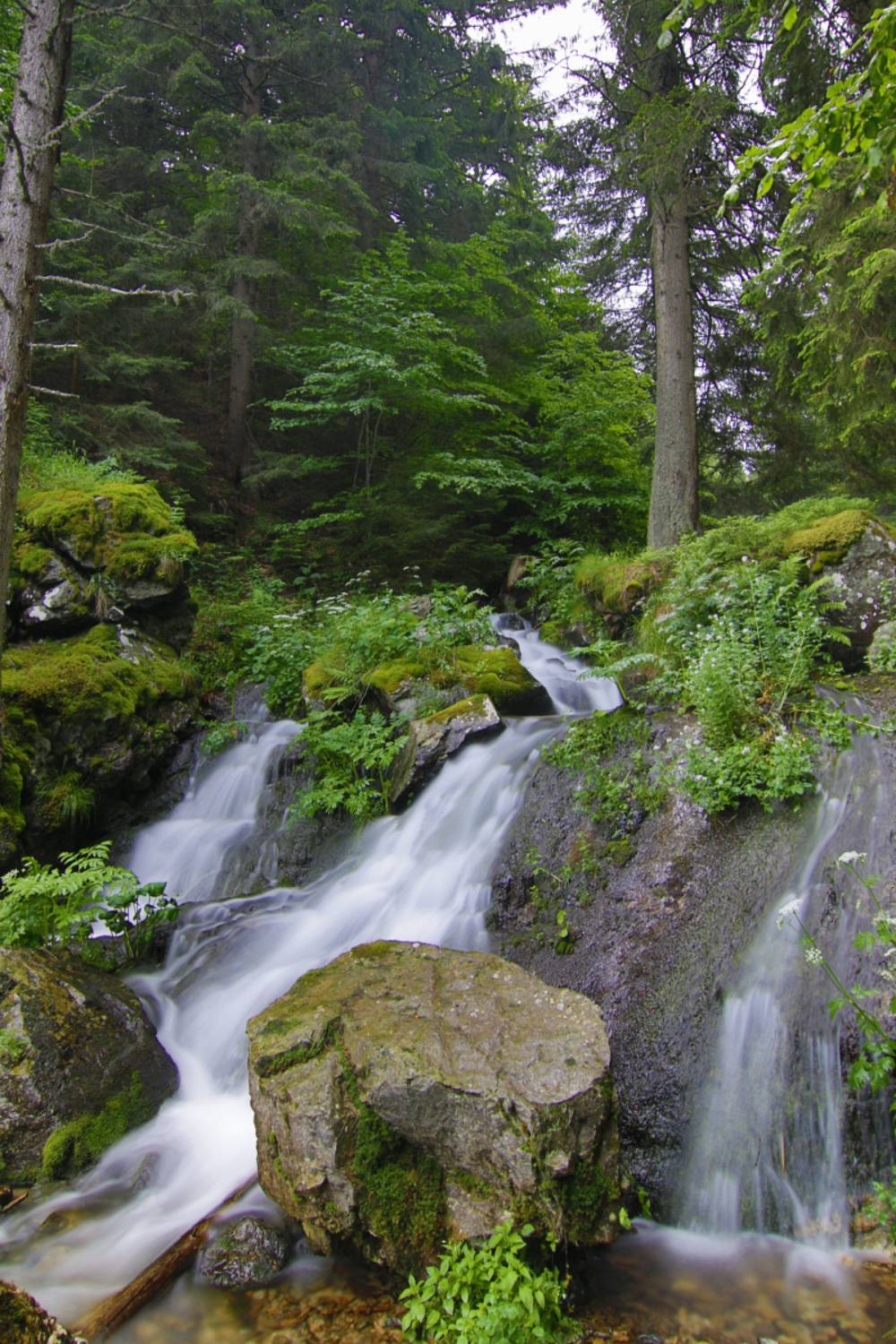 , Славов Георги