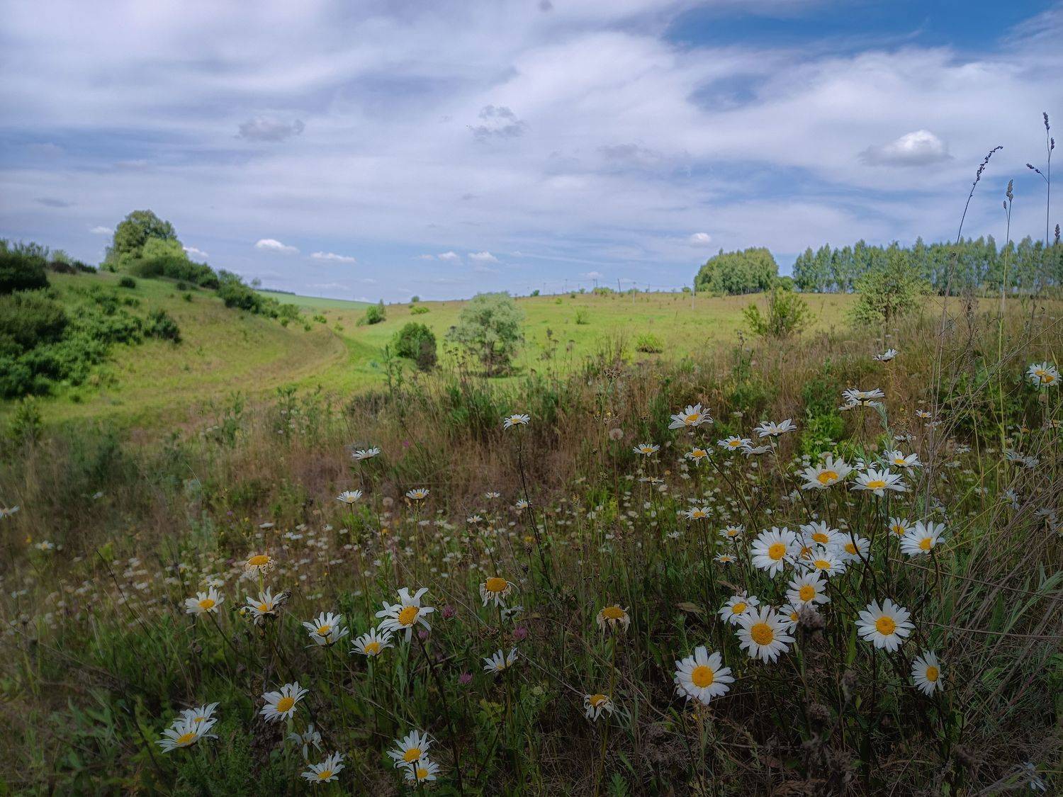 , Светлана Кондрашова