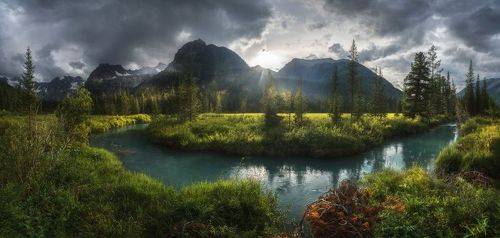 Алтайское лето