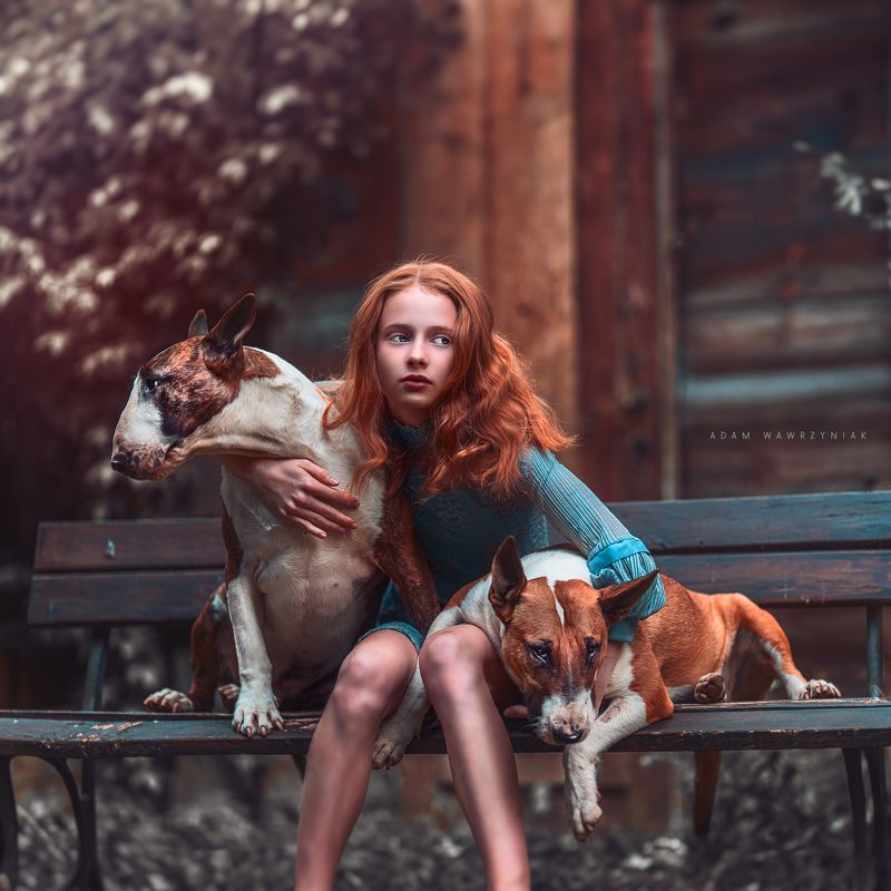 фото превью
