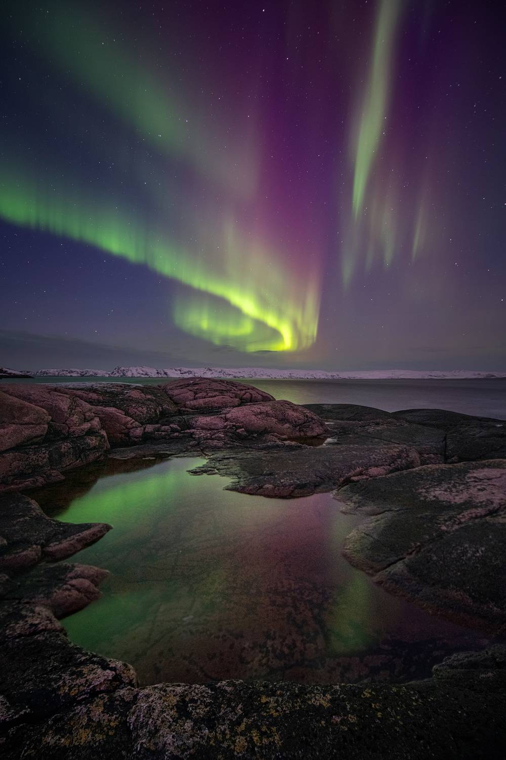 , Елена Ермолина