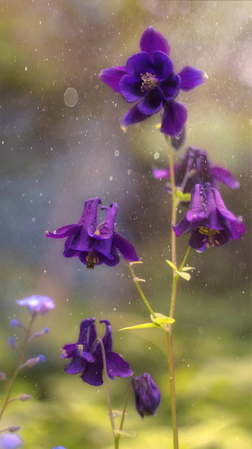 , Мария Обидина