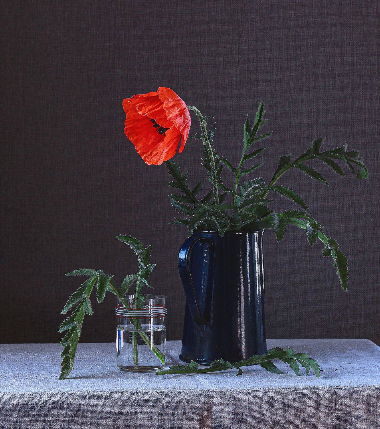 натюрморт, фотонатюрморт, лето, дача, цветы, маки, красный мак, still life, stillifefoto, художественное фото, фотохудожник, наталья казанцева, Наталья Казанцева