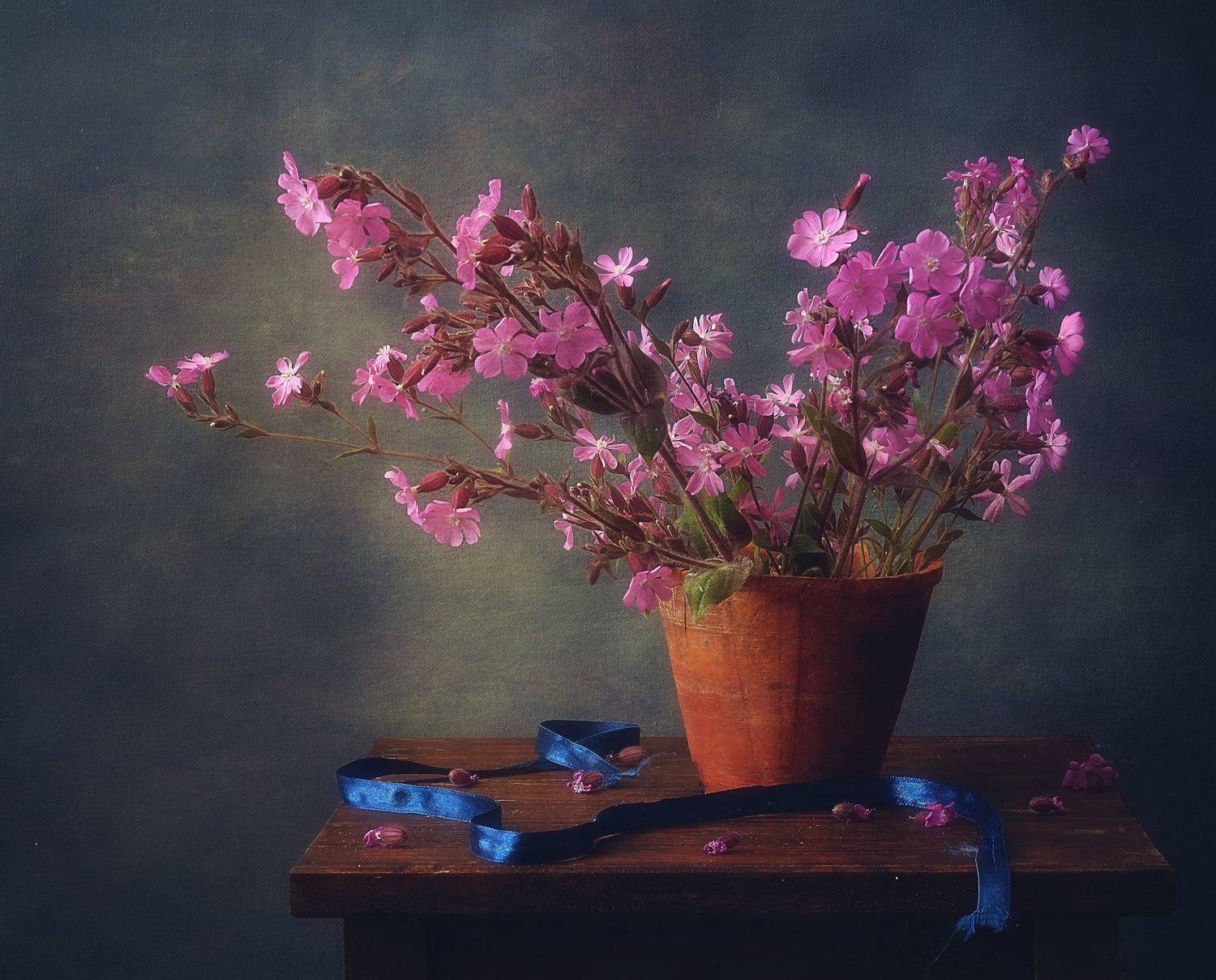 натюрморт,цветы,букет,лето,смолевка, Наталия К