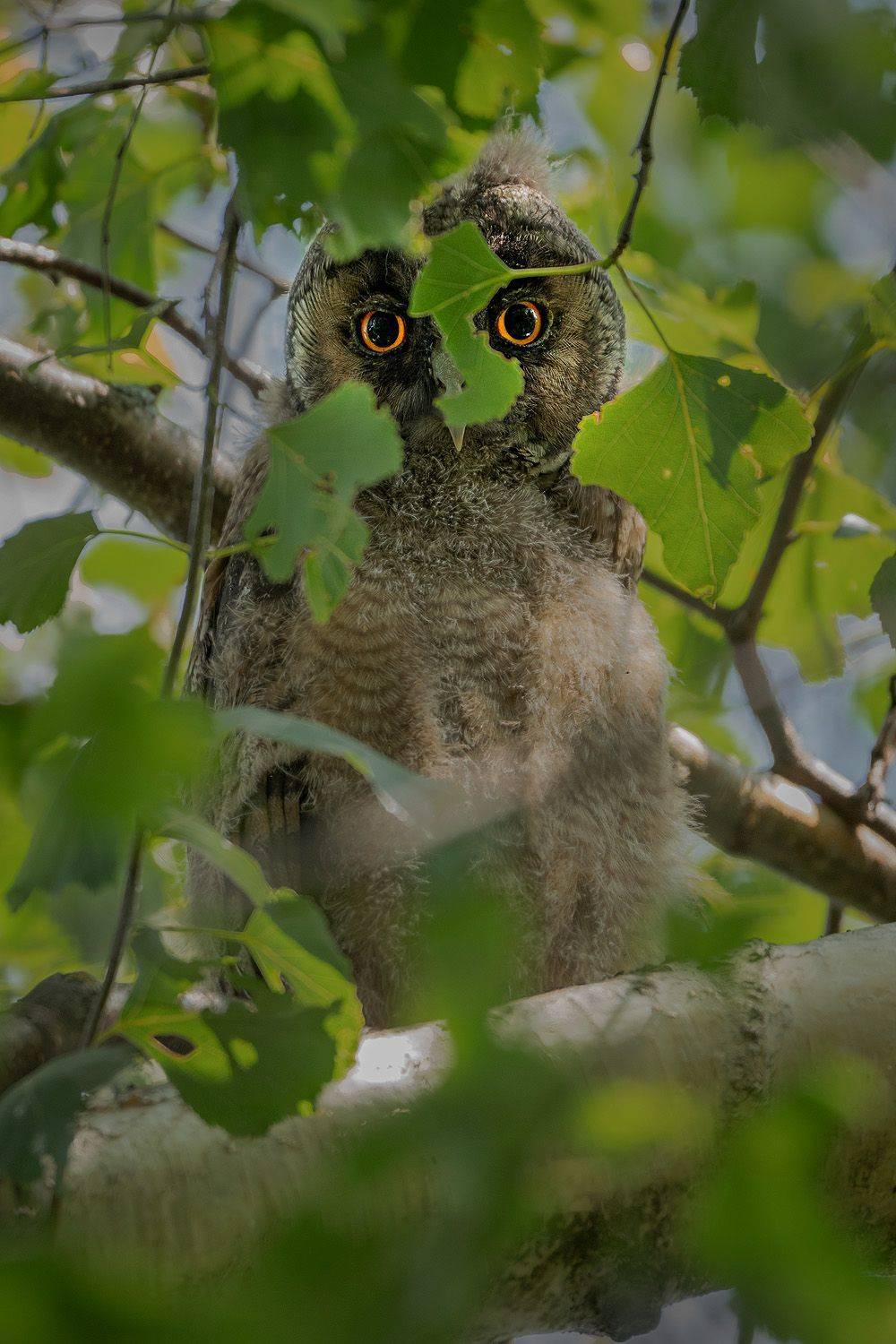 , Тябин Владислав