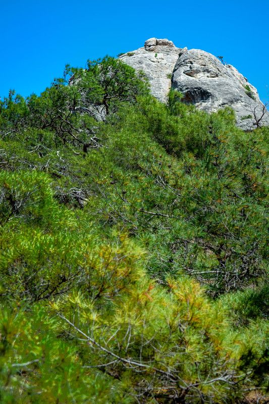 Великан фото превью