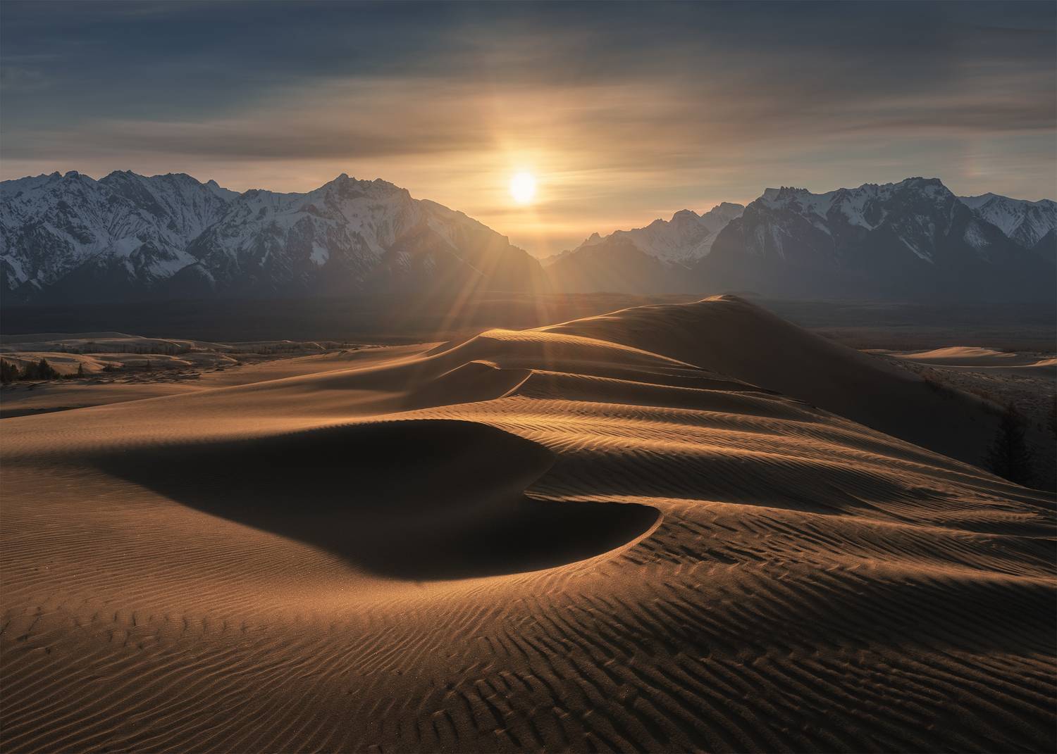 , Политова Анна