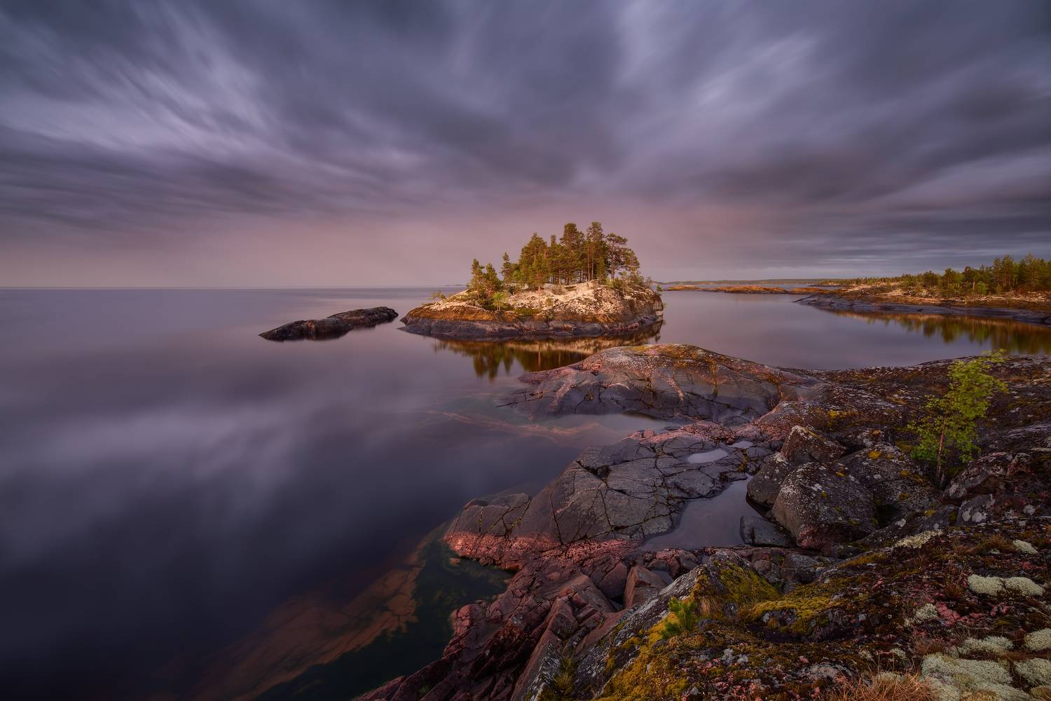 , Максим Евдокимов