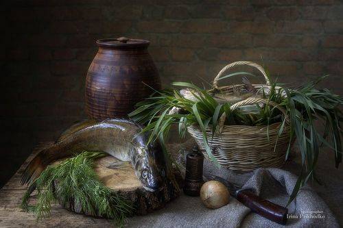 Натюрморт с судаком