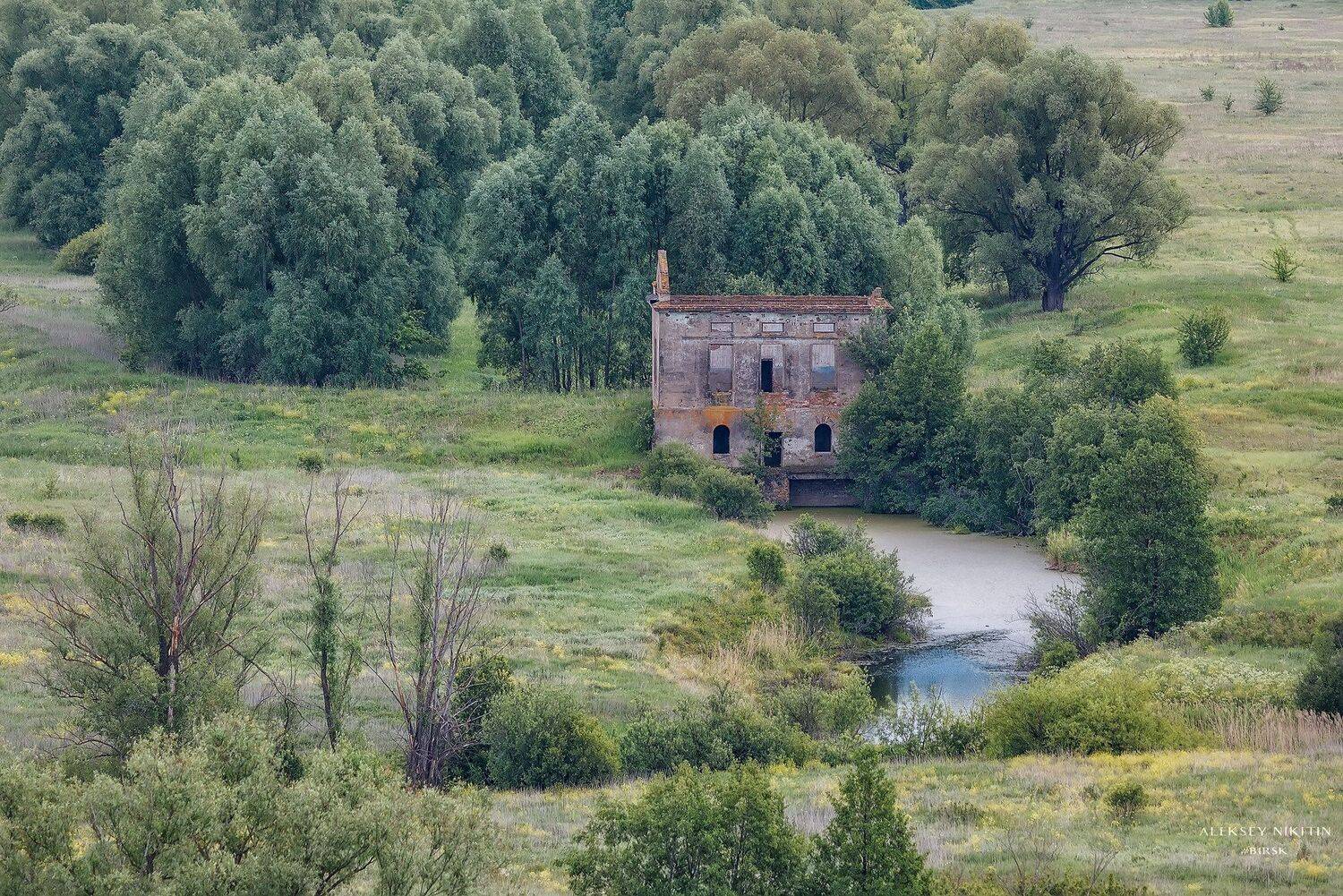 , Никитин Алексей