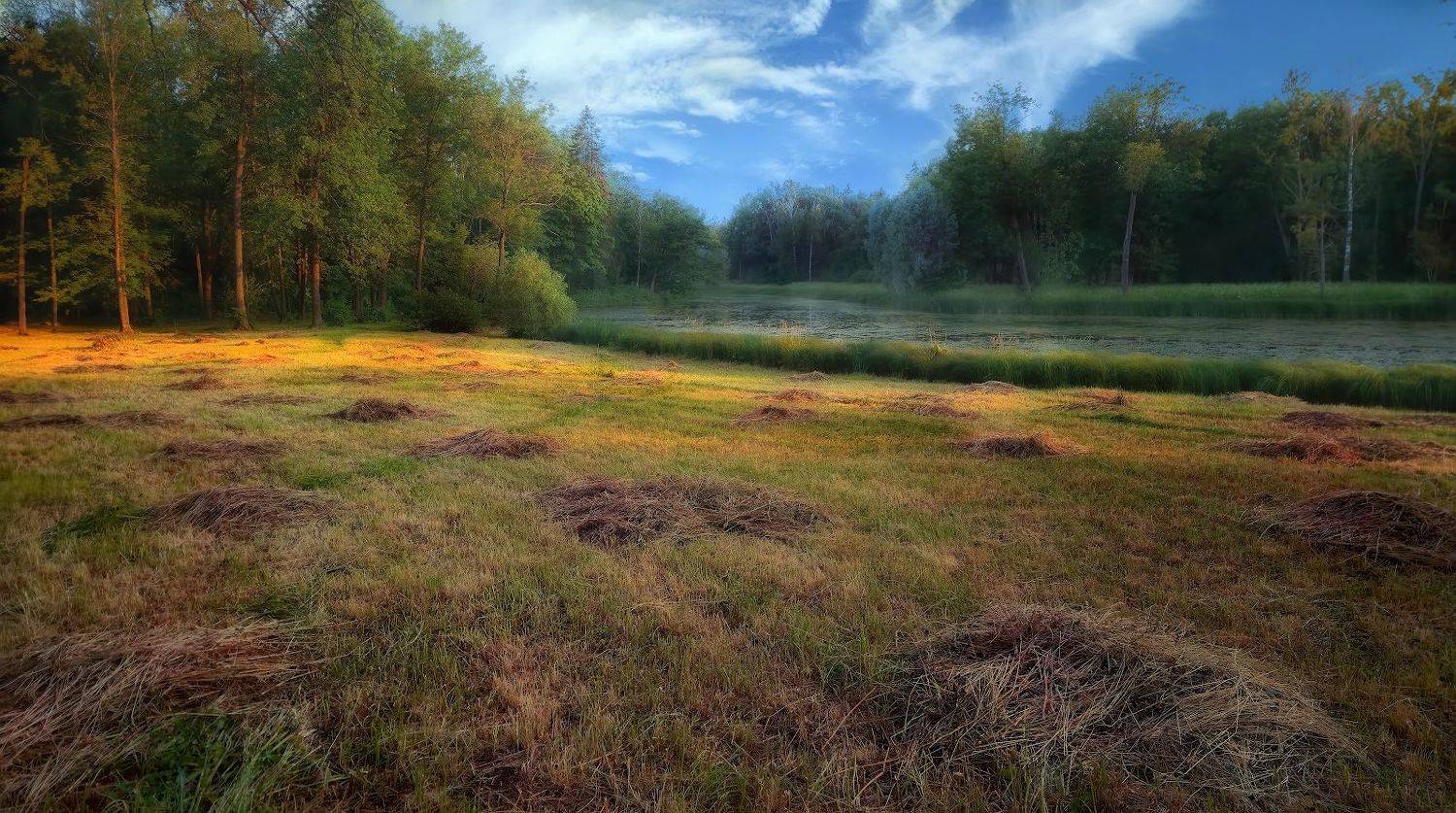 лето вечер пруд сено, Константин Скороходов