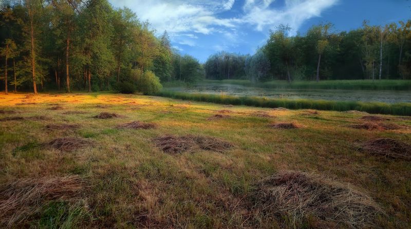 лето вечер пруд сено Пора сенокоса фото превью