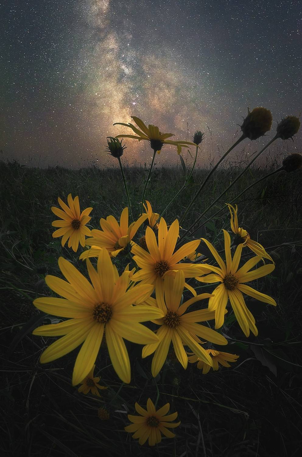 , Захаров Дмитрий